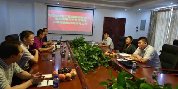 与海尔集团洽谈合作2