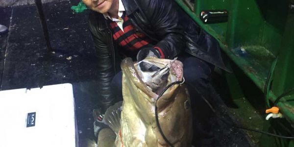 企业创始人是钓鱼爱好者